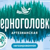 Вода негазированная Черноголовка