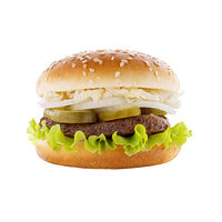 Гамбургер 219