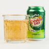 Фото к позиции меню Canada Dry Ginger Ale
