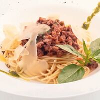 Bolognese