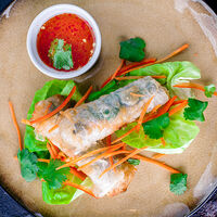 Жареные вьетнамские роллы Немы с креветками, свининой и овощами