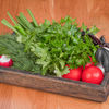 Фото к позиции меню Свежие овощи с зеленью