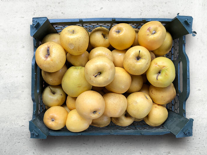 Яблоки Голден (ящик 10 кг)