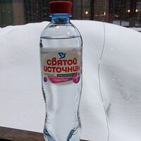 Святой Источник газированная