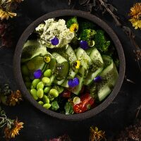 Зеленый салат с авокадо и брокколи