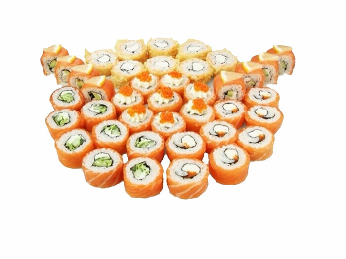 Династия суши