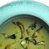 Фото к позиции меню Крем-суп из лесных грибов с трюфельным маслом