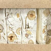 Фото к позиции меню Нуга с белыми грибами и фундуком