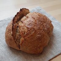 Гречишный хлеб