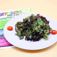 Детский салат из свежих овощей