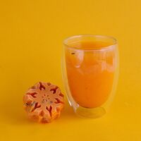 Основа для горячего напитка Апельсин-облепиха без сахара