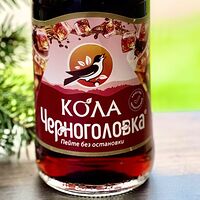 Черноголовка Кола