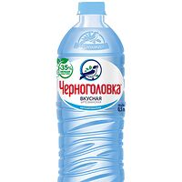 Вода негазированная черноголовка