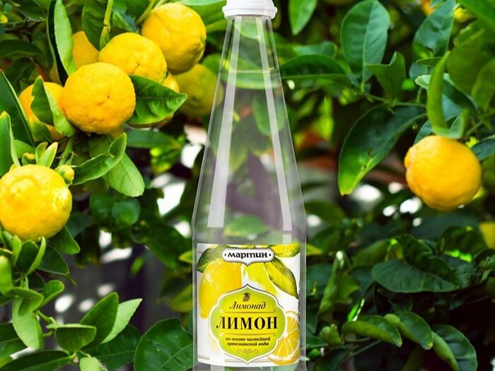 Лимонад Лимон от Мартина