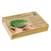Фото к позиции меню Inbloom набор микрозелени капуста б/к 5 гр