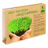Фото к позиции меню Inbloom набор микрозелени подсолнечник 5 гр