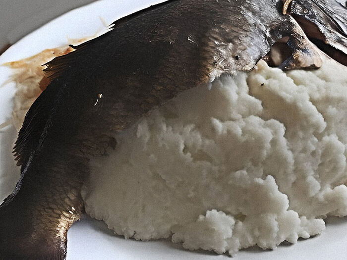 Nshima with fresh fish