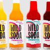 Фото к позиции меню Лимонад Wild Soda