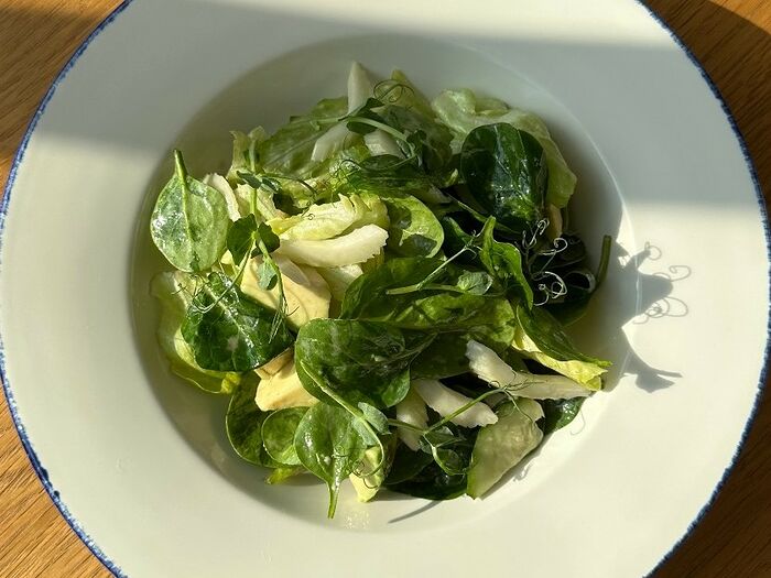 Зеленый салат с авокадо и малиновой заправкой
