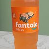 Фото к позиции меню Газированный напиток Fantola Citrus