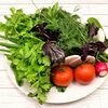 Фото к позиции меню Букет из зелени и свежих овощей