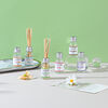 Фото к позиции меню Ladecor аромадиффузор с палочками, 30мл 6 ароматов зел. чай, лаванда, роза, ваниль, океан, корица
