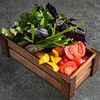 Фото к позиции меню Разнообразные свежие овощи и зелень