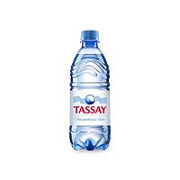 Вода Tassay негазированная