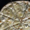 Фото к позиции меню Пицца с грушей и голубым сыром