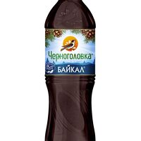 Черноголовка Байкал