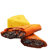 Шаурма с сыром в сырном лаваше