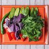 Фото к позиции меню Букет из свежих овощей и зелени