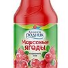 Фото к позиции меню Морсовые ягоды Клюква Калинов напиток б/а, б/газ, 500 мл