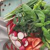 Фото к позиции меню Ассорти из свежих овощей и зелени по-кавказски Малое