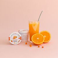 Основа для создания лимонадов Апельсин - облепиха