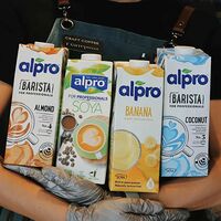 Альтернативное молоко Alpro