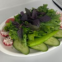 Ассорти из свежих овощей и зелени