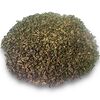 Фото к позиции меню Чай зеленый Граф грей с бергамотом