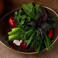 Свежие овощи с ароматной зеленью