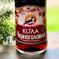 Черноголовка Кола