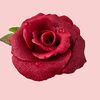 Фото к позиции меню Марципан роза красная