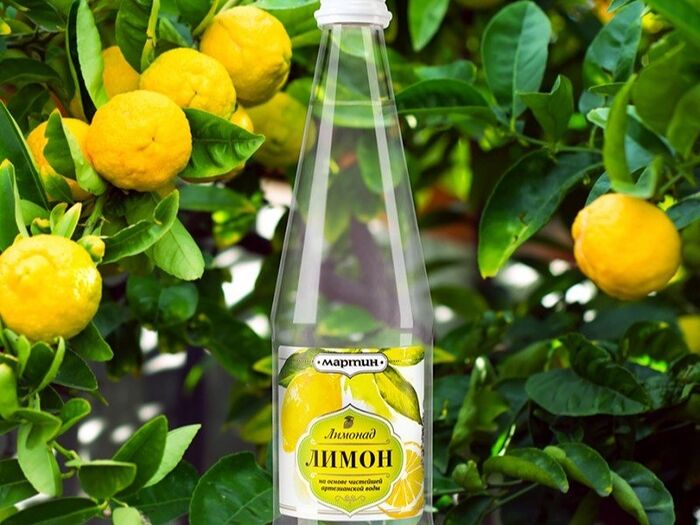 Лимонад Лимон от Мартина