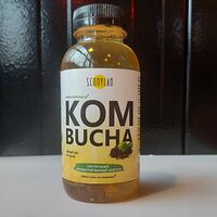 Напиток Kombucha