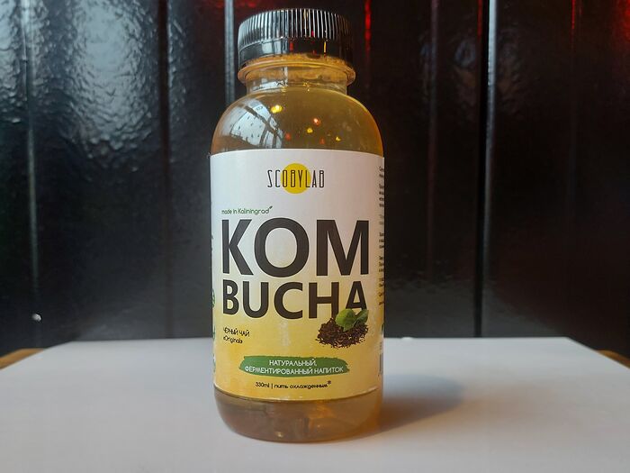 Напиток Kombucha