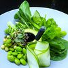 Фото к позиции меню Зеленый салат из сырых овощей