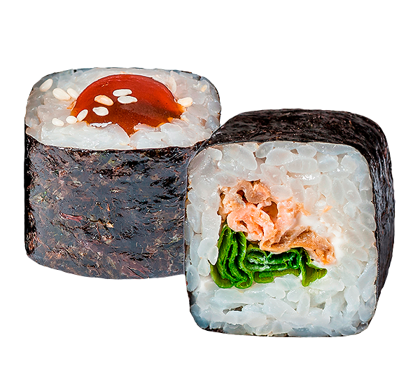 Шестая часть суши