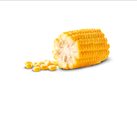 Вареная кукуруза (половина початка)