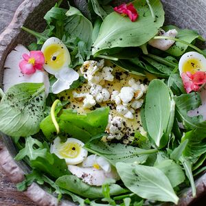 Салат с индейкой и кукурузным кремом