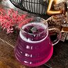 Фото к позиции меню Горячий напиток пурпурный с шалфеем