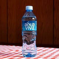 Минеральная вода Aqua Viva негазированная 